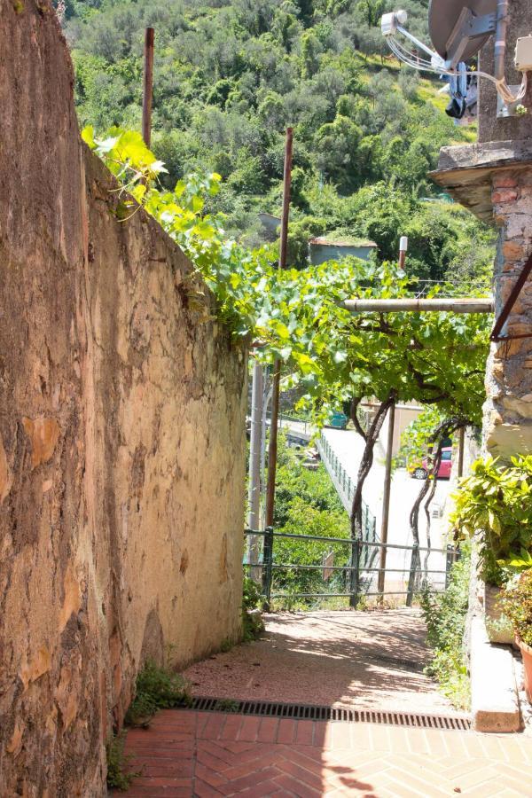 Le Case Della Lizza - Casa Rossa Levanto Exterior foto
